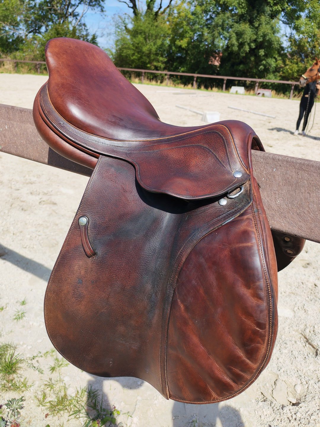 Selle lamicell, média 2