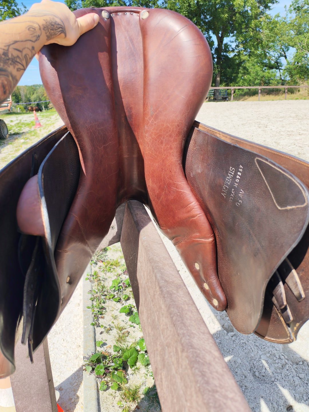 Selle lamicell, média 5
