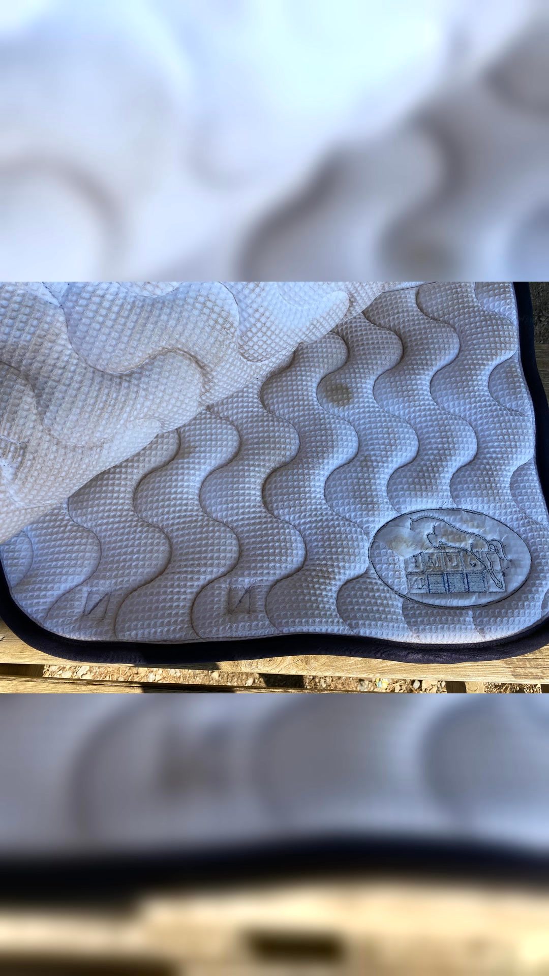 Tapis  Jump’in, média 3