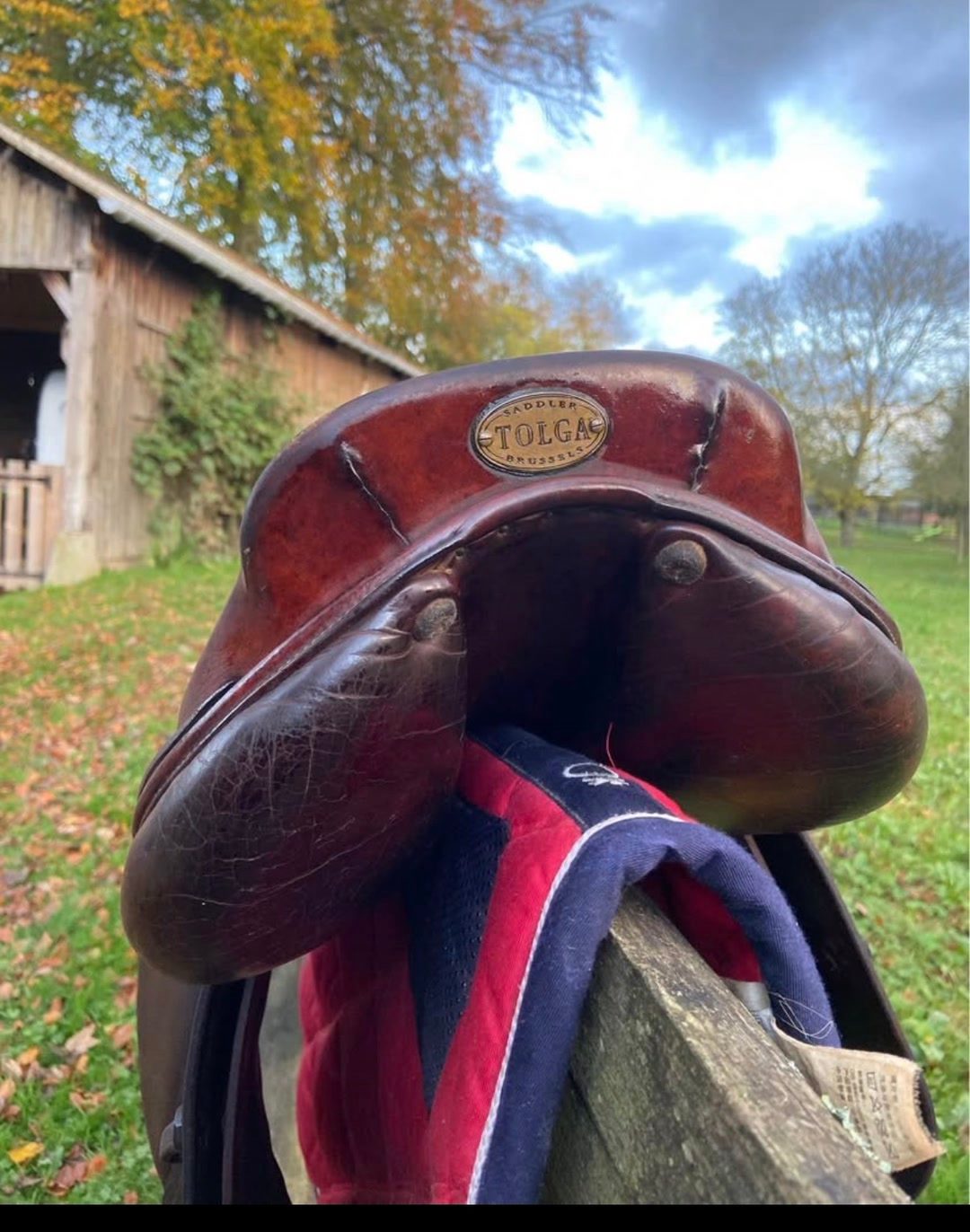 Selle Tonga 17,5 pouce, média 2