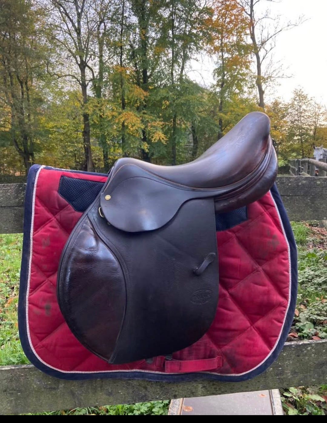 Selle Tonga 17,5 pouce, média 4