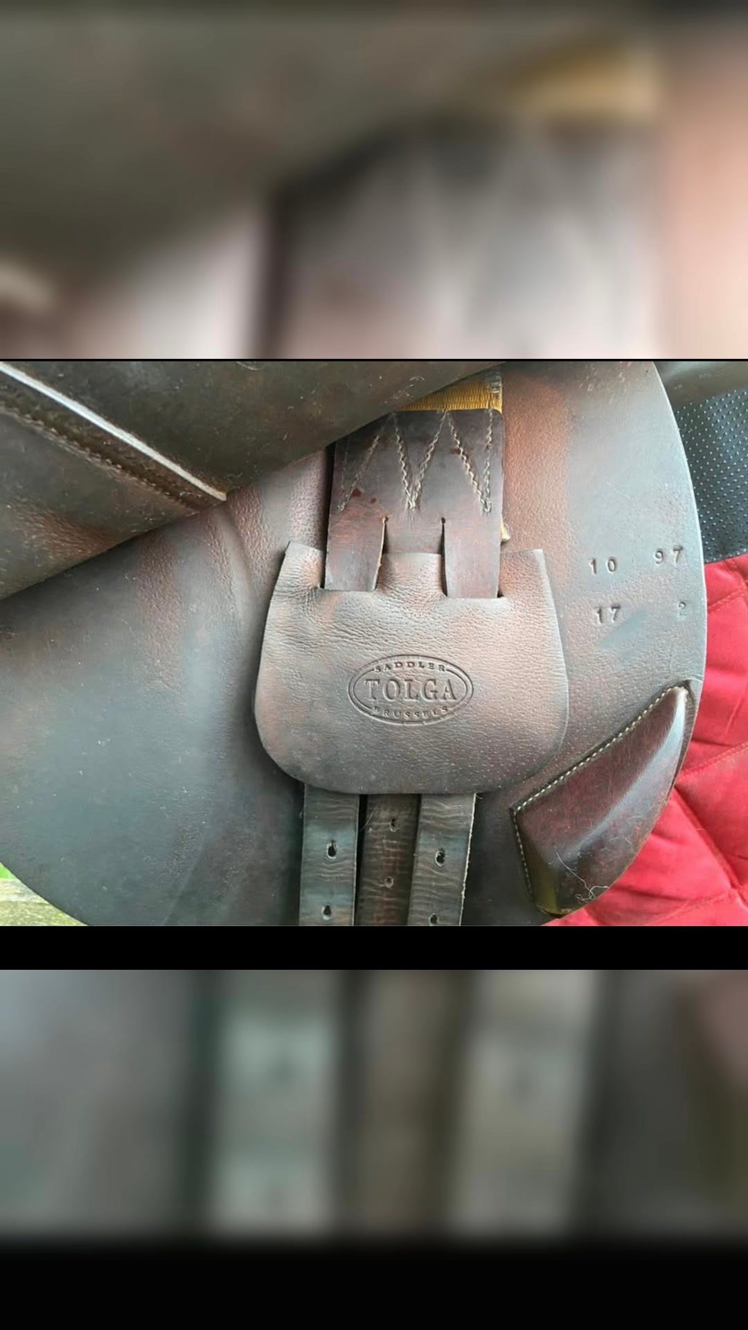 Selle Tonga 17,5 pouce, média 3