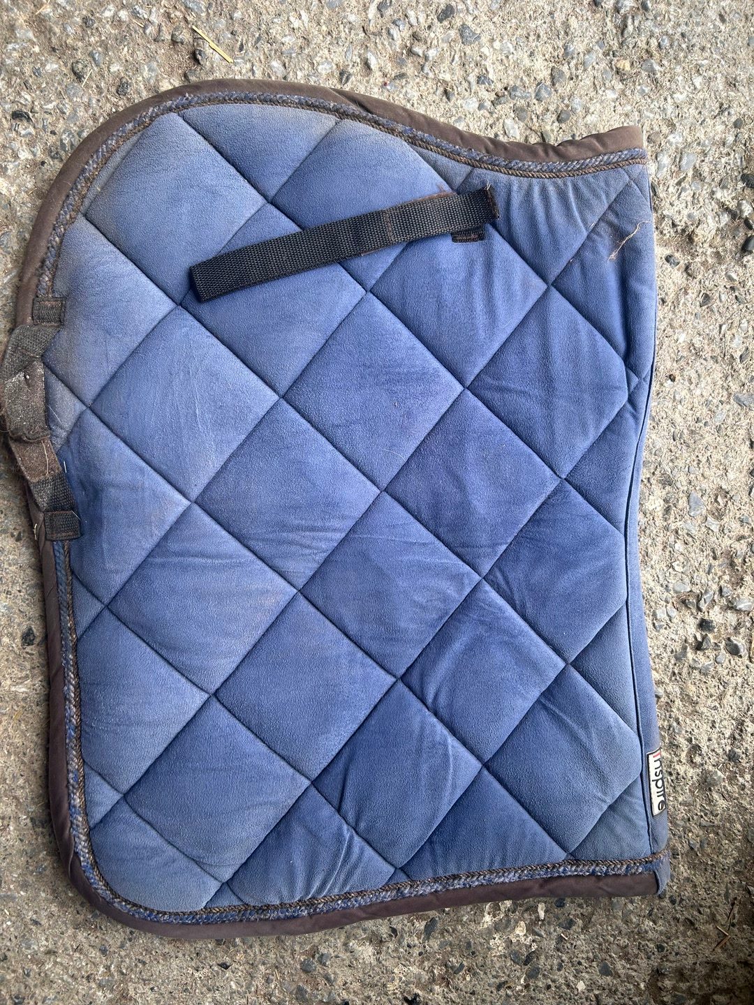 Tapis Bleu, média 2