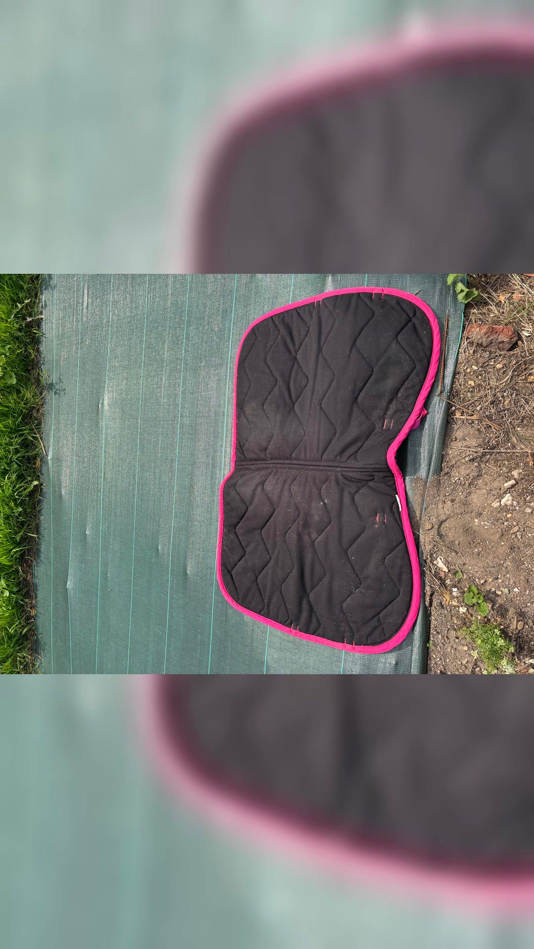 Tapis rose, média 3