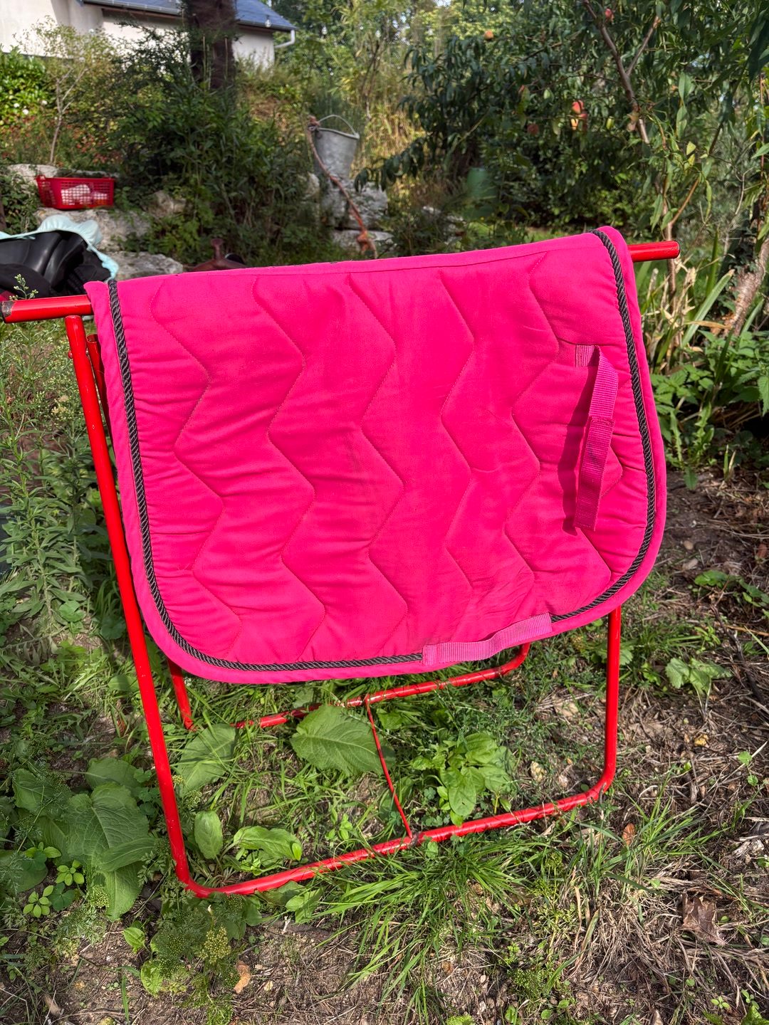 Tapis rose, média 2