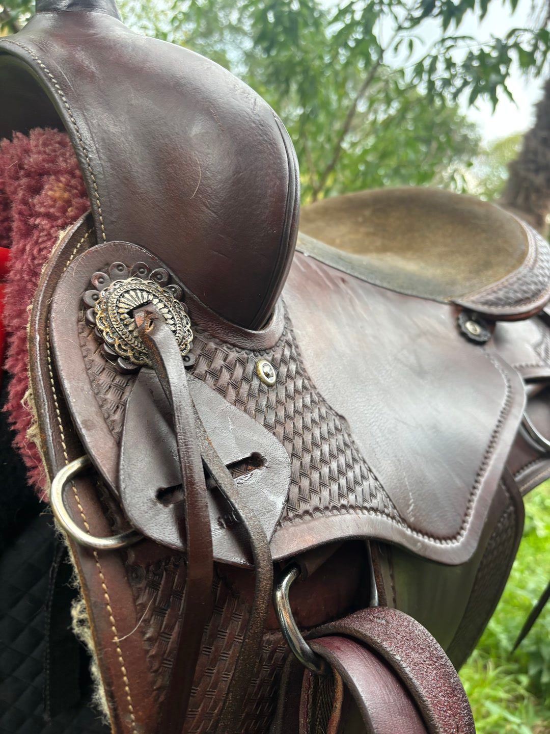 Selle western, média 2