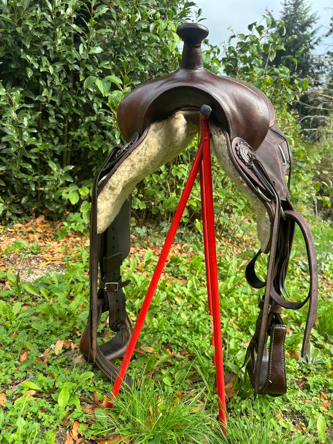 Selle western, média 4