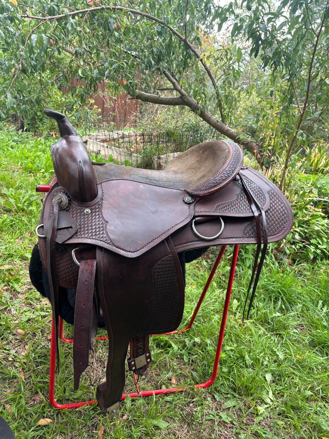 Selle western, média 3