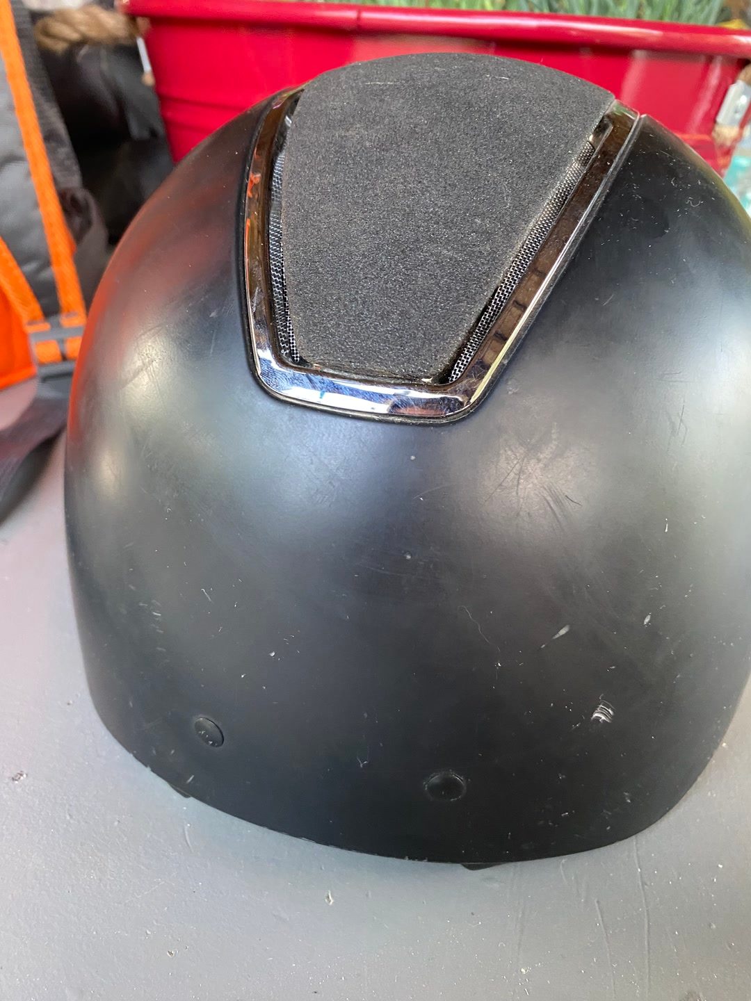 Bombe premier equine, média 6