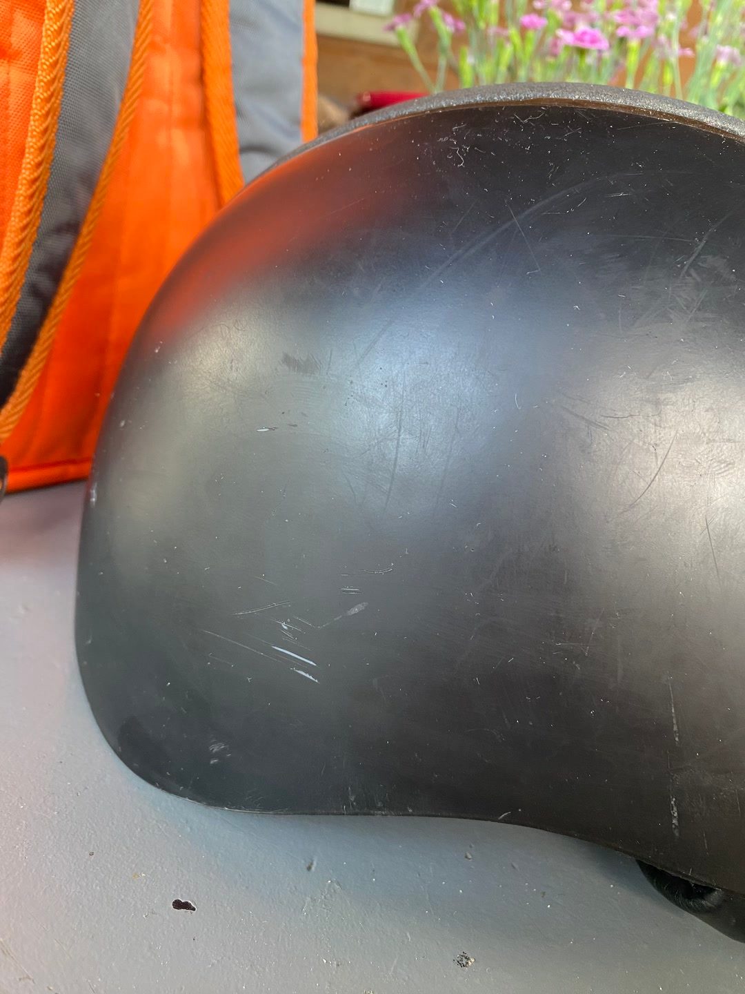 Bombe premier equine, média 7