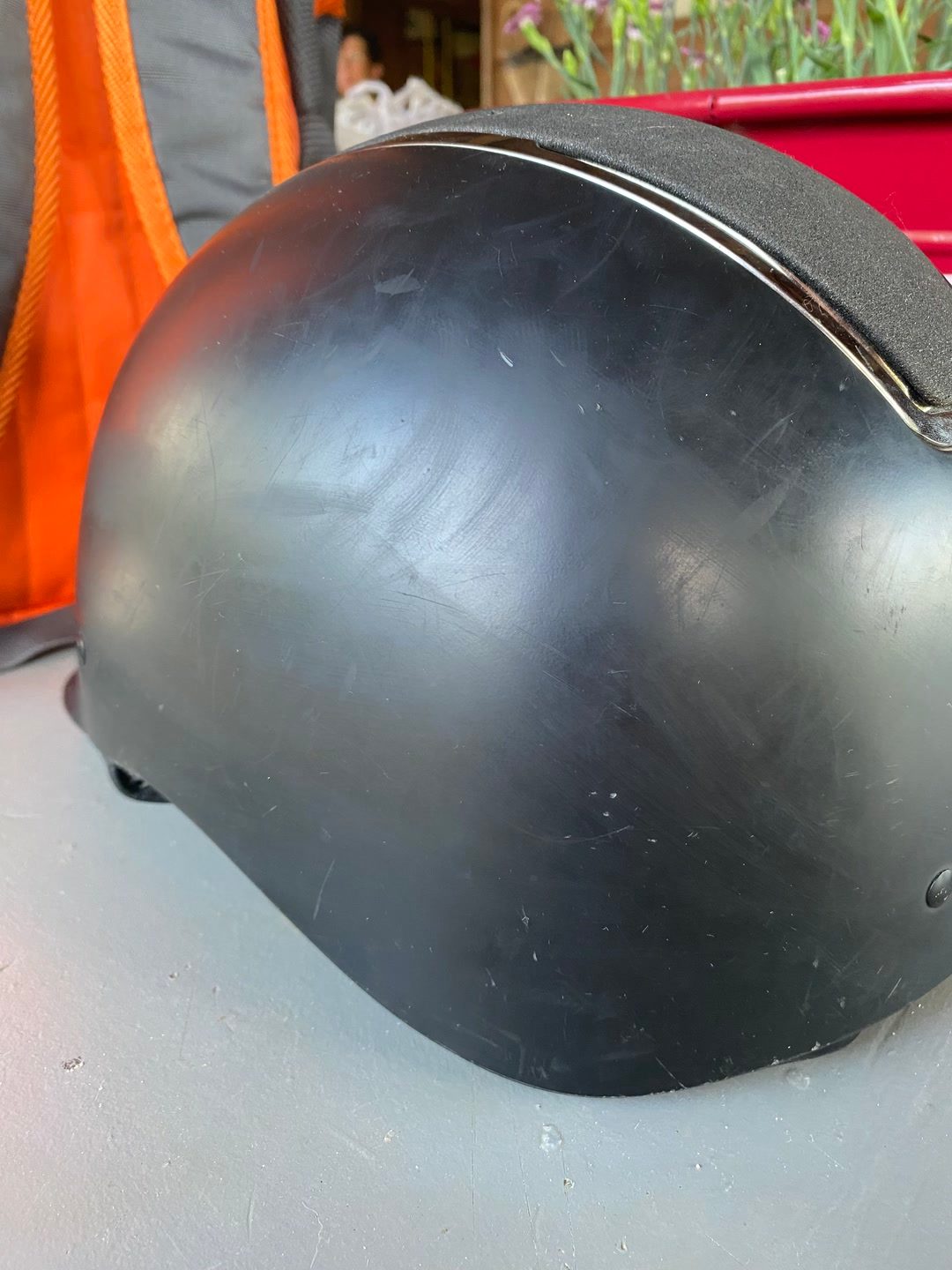 Bombe premier equine, média 5