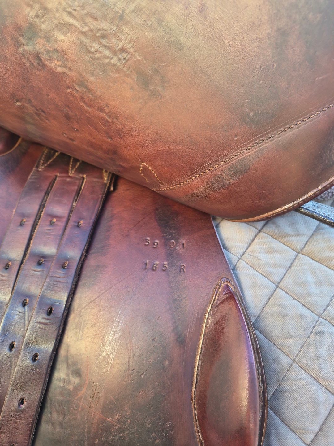 Selle mixte fleur de lys, média 6