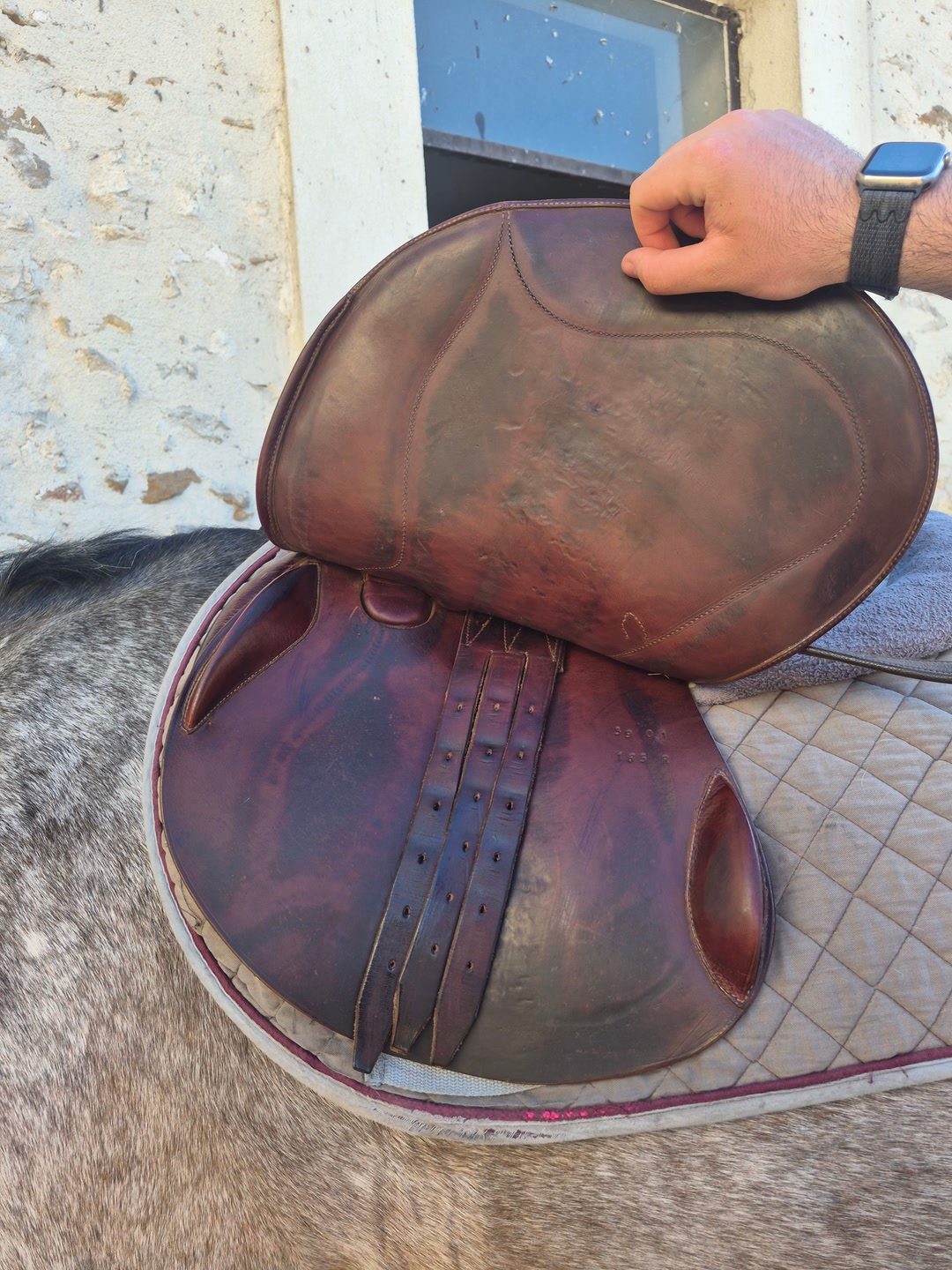 Selle mixte fleur de lys, média 5