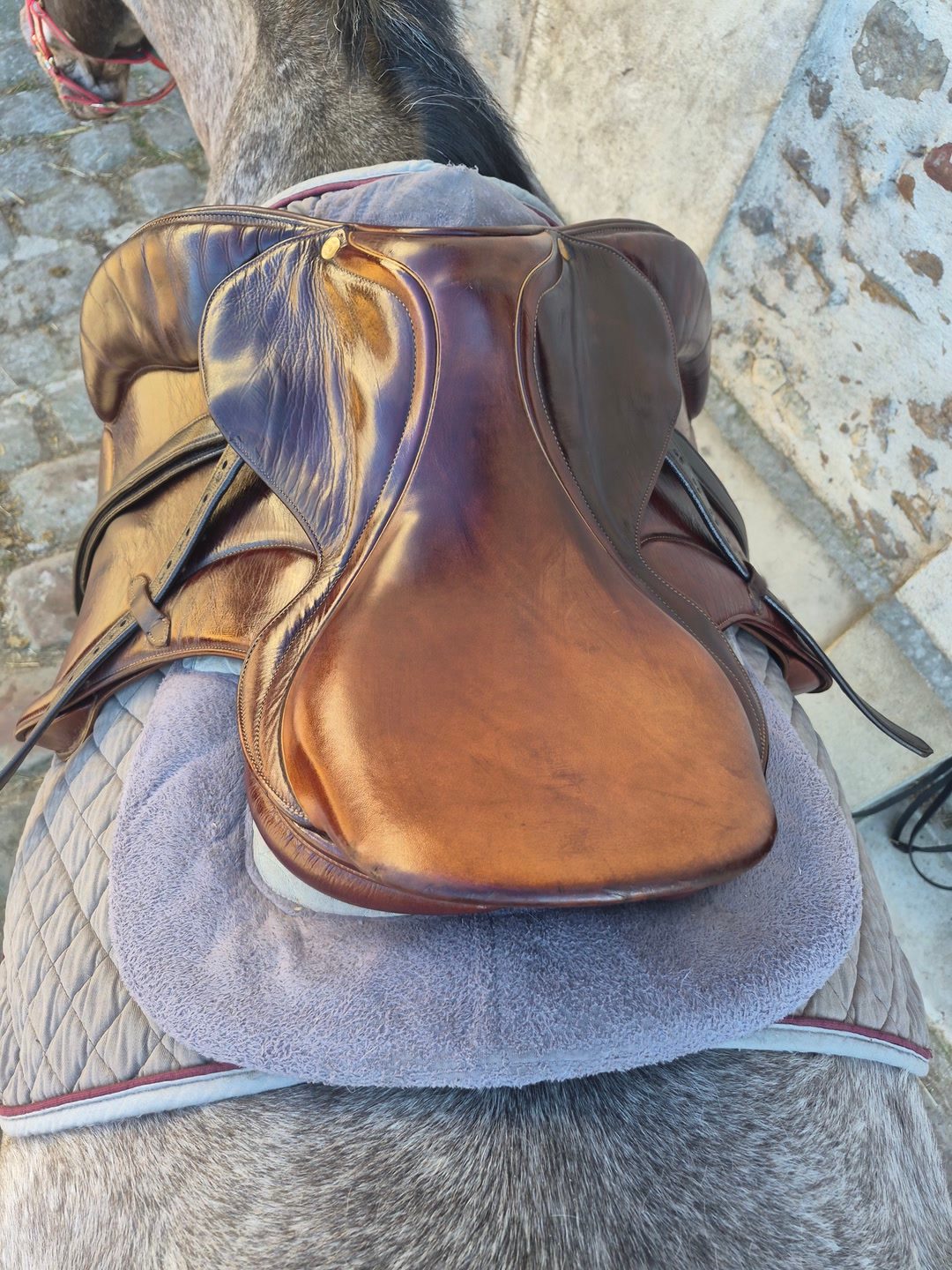 Selle mixte fleur de lys, média 3