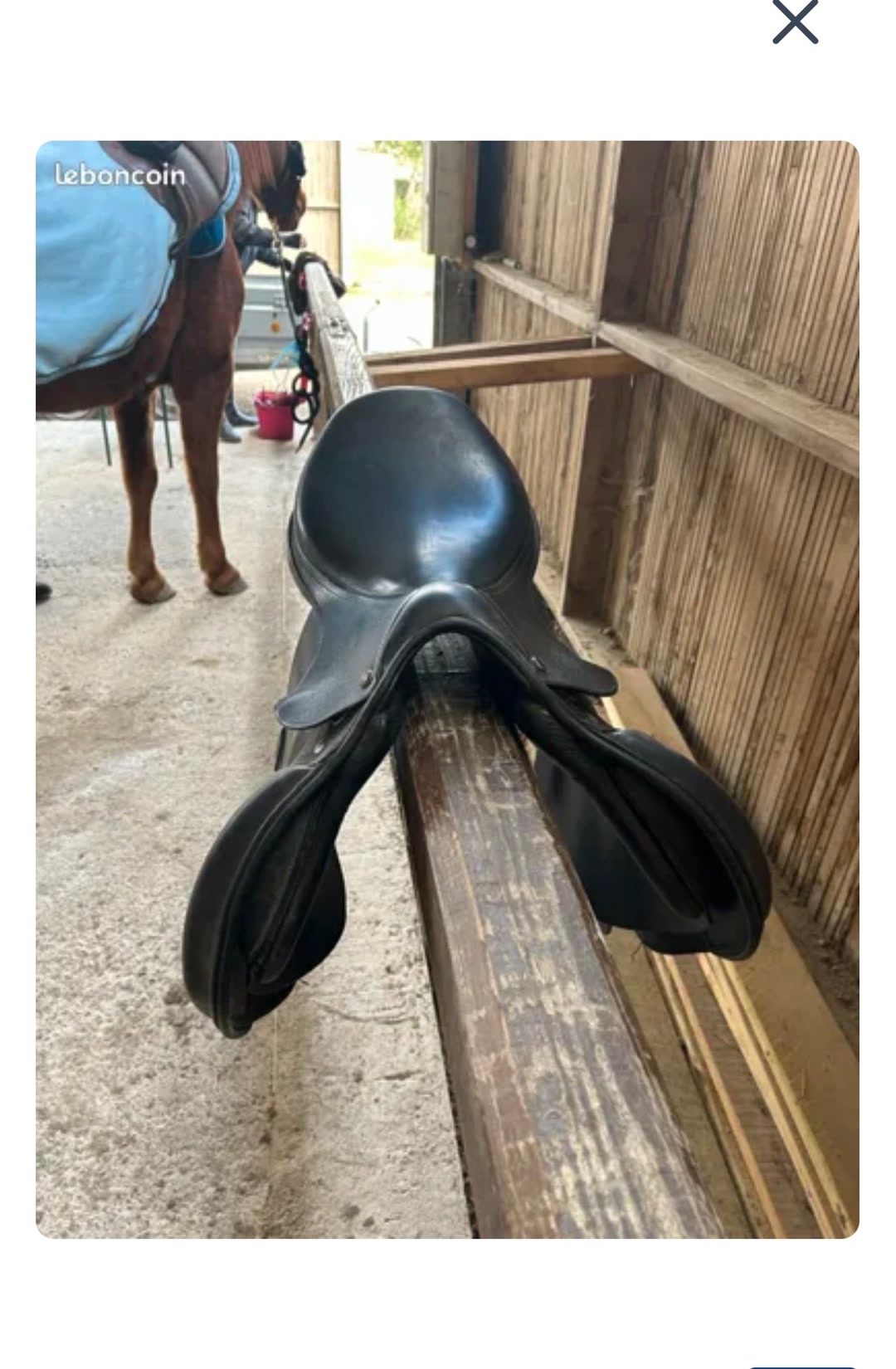 Selle, média 4