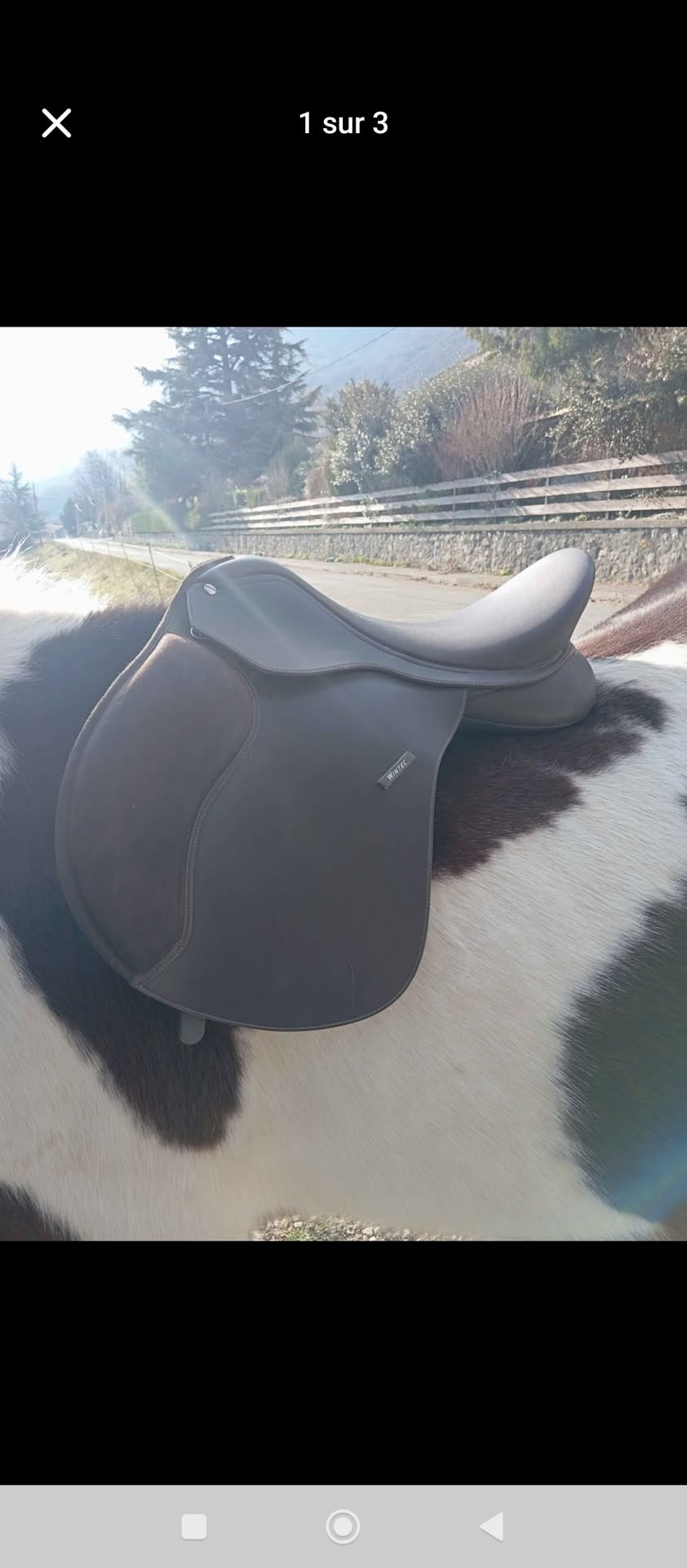 Selle wintec500 arcade interchangeable  occasion, média 2