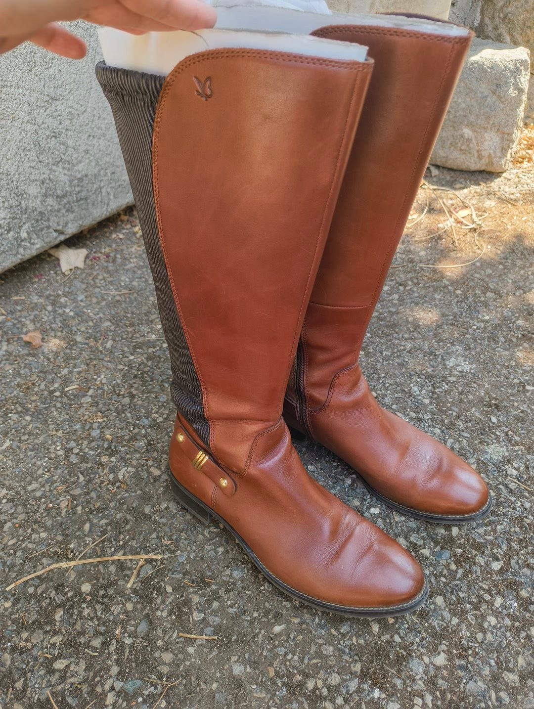 Bottes Cavalières taille 41, média 2