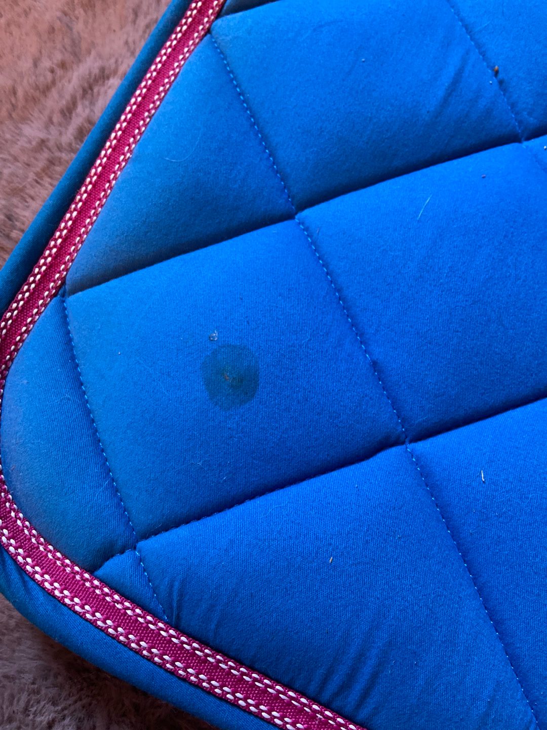 Tapis bleu, média 4