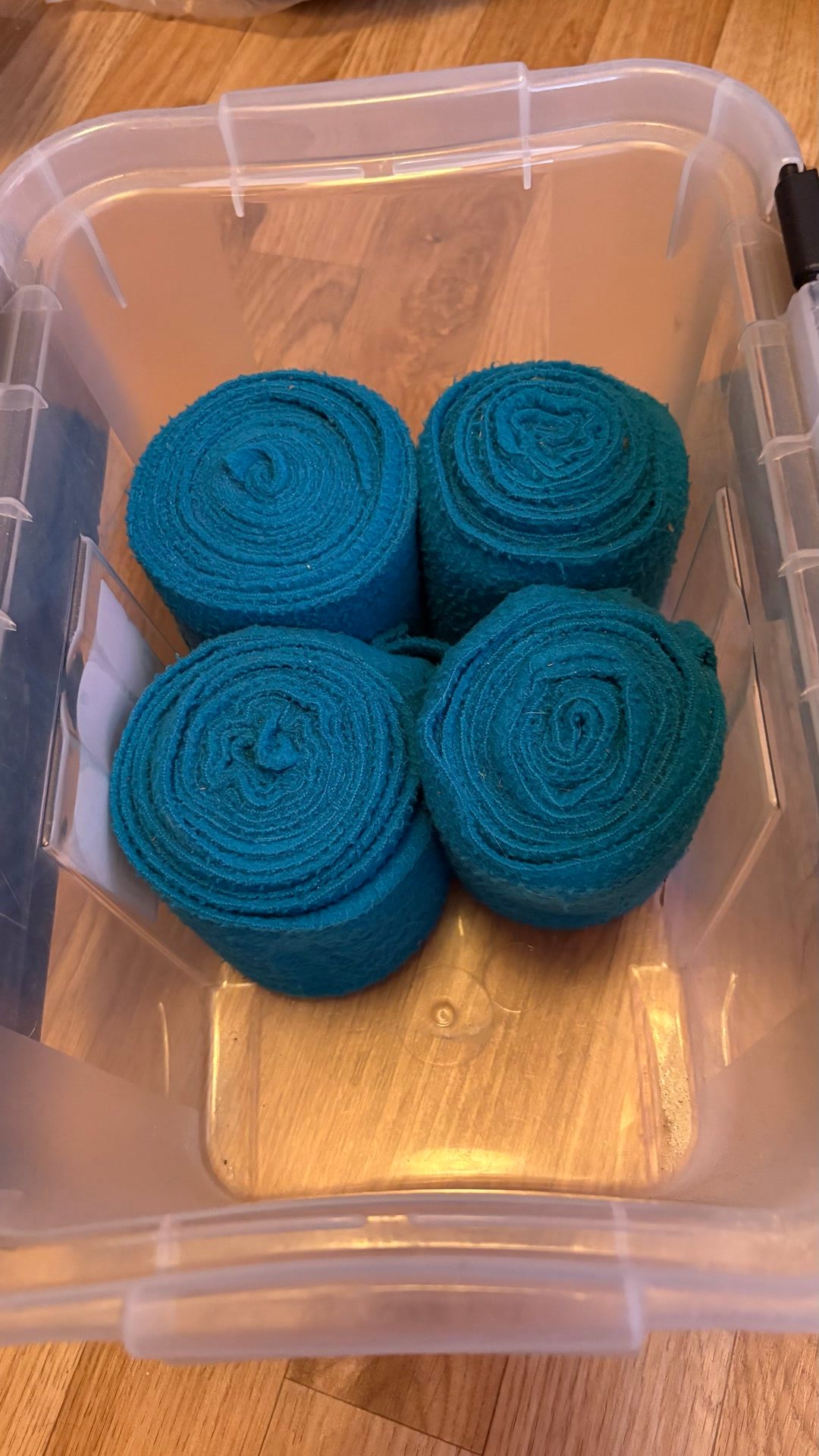 Bandes de polo Turquoise, média 2