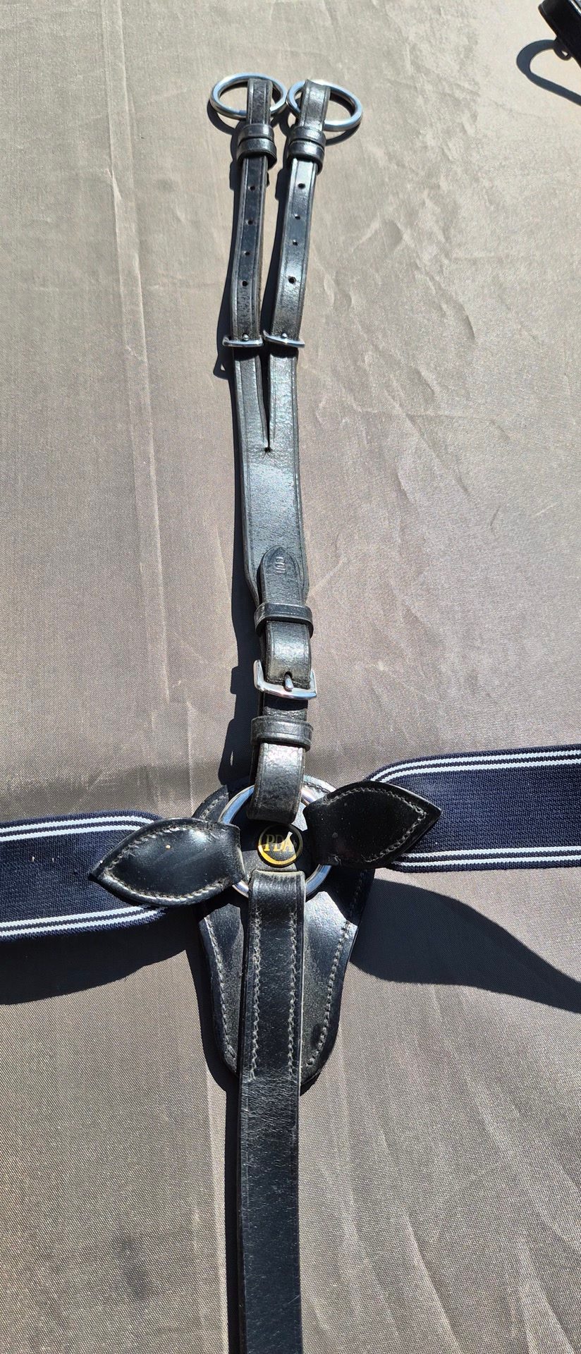 Collier de chasse, média 2