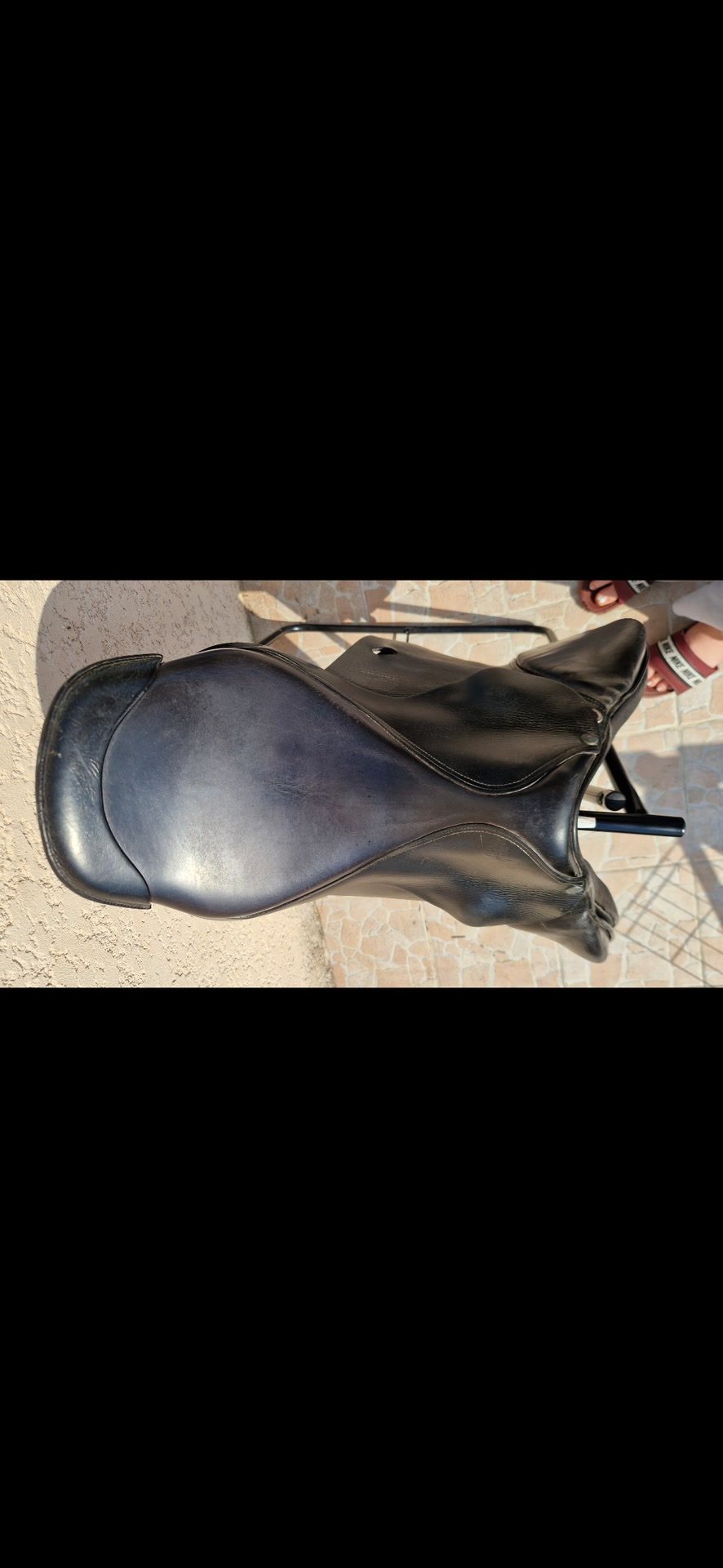 Selle forestier, média 2