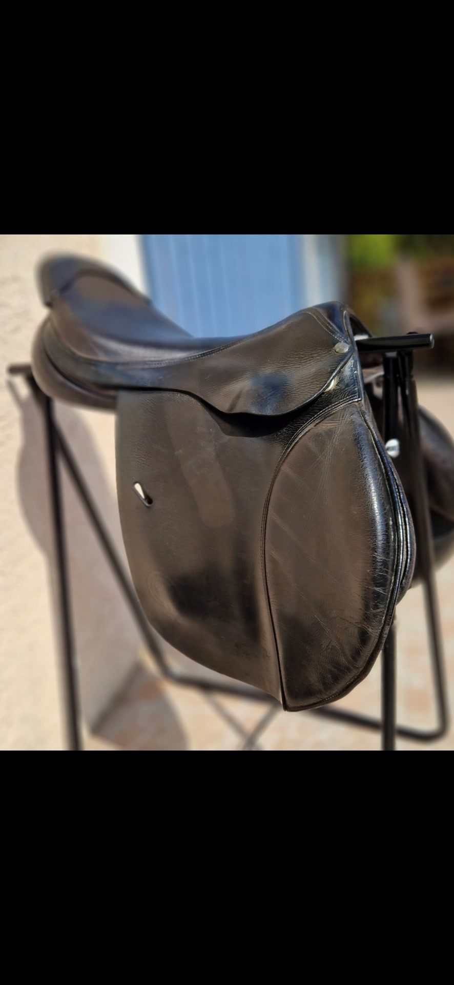 Selle forestier, média 4