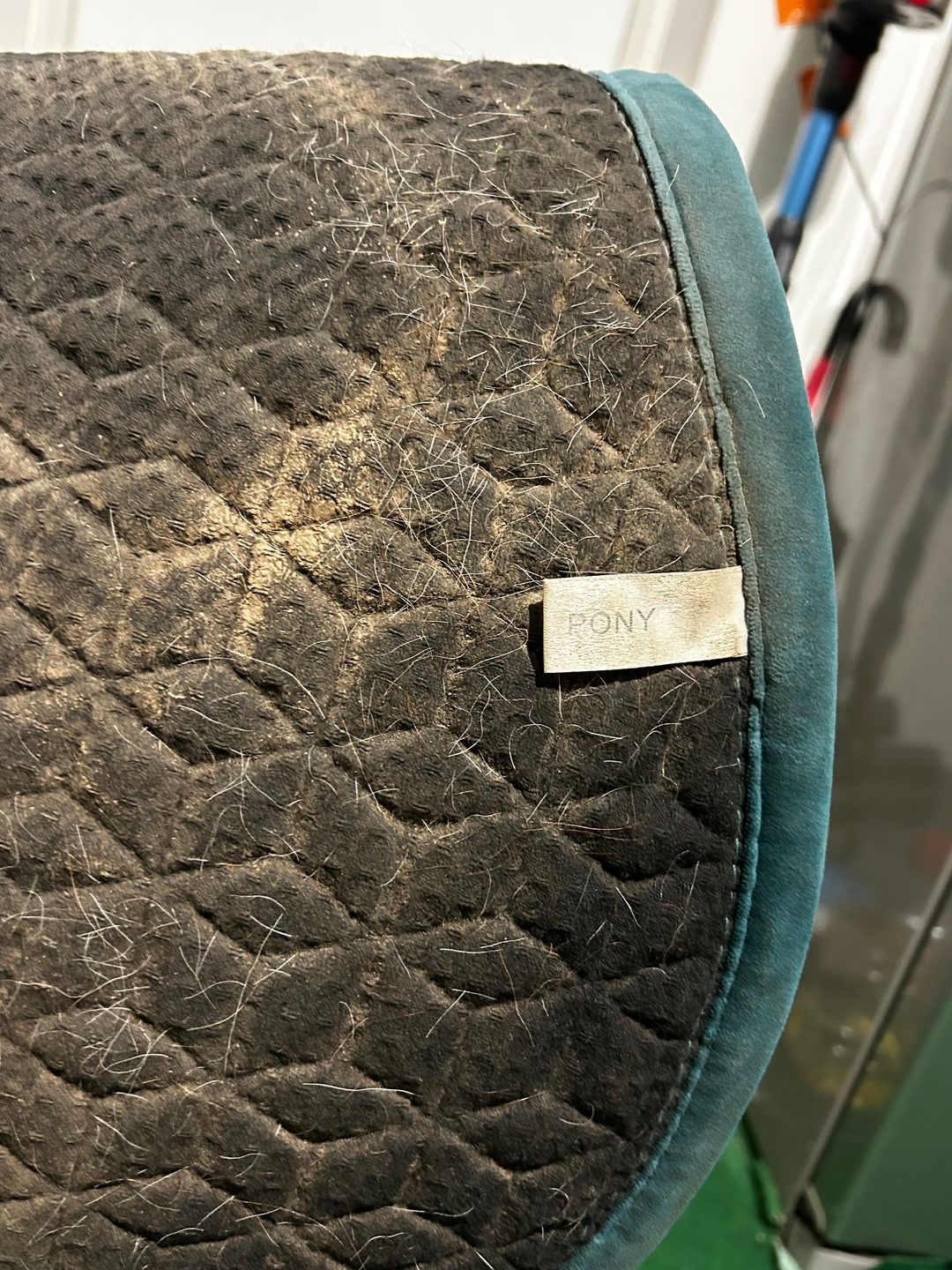 Tapis kentucky, média 4
