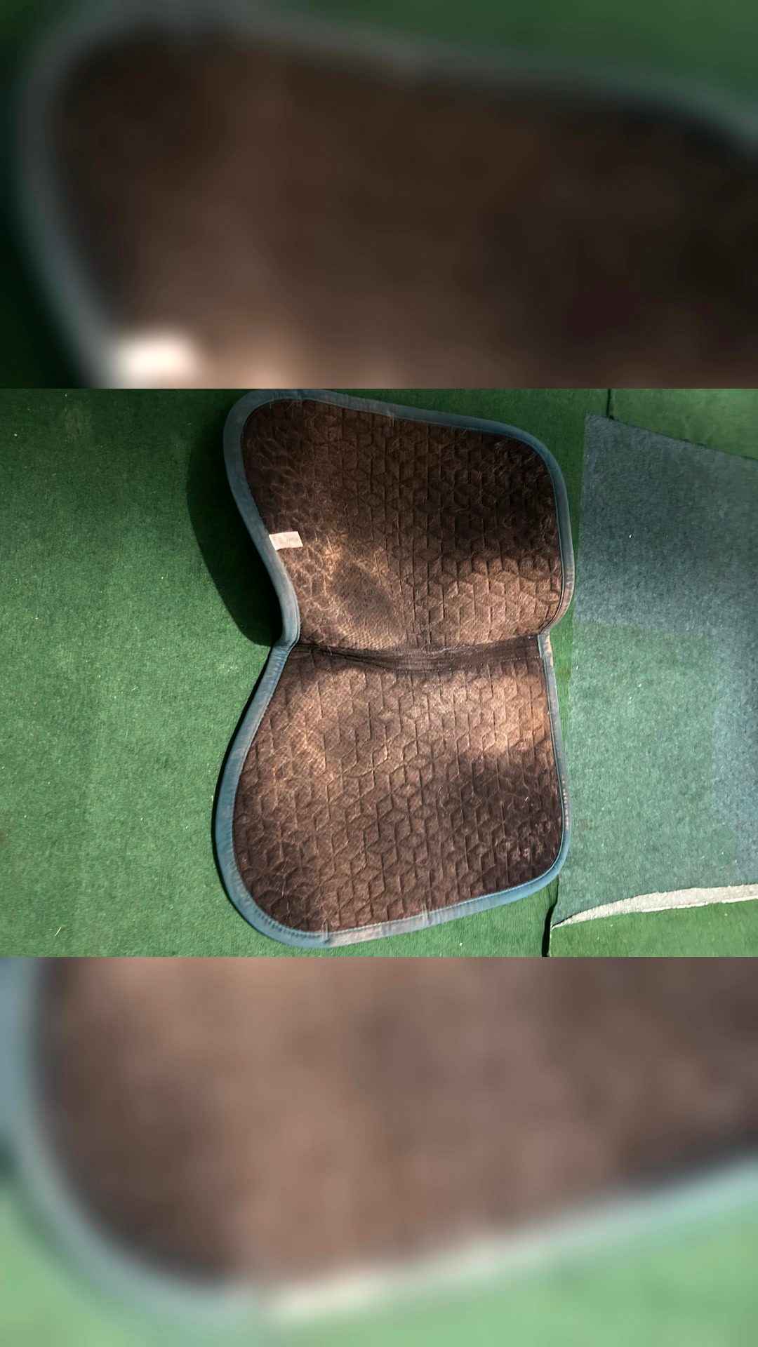 Tapis kentucky, média 3