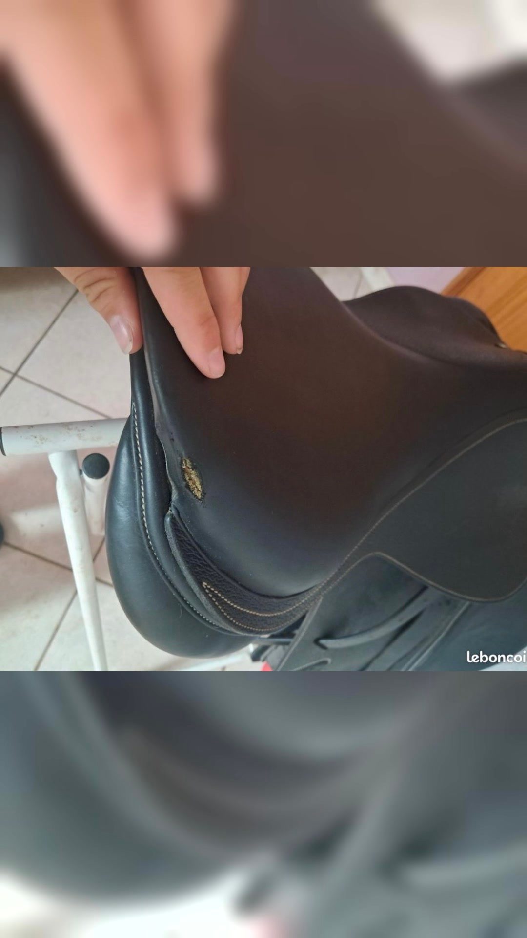 Selle privilège équitation, média 10