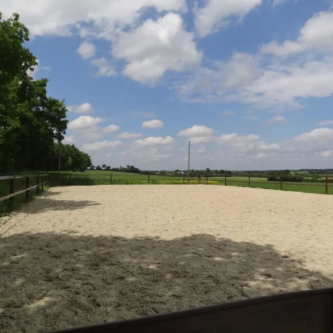 Pension pour chevaux, média 2