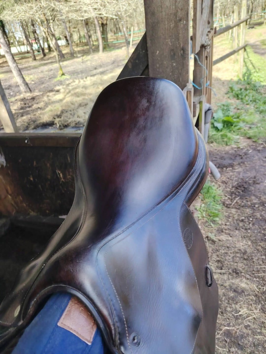 Selles devoucoux, média 4