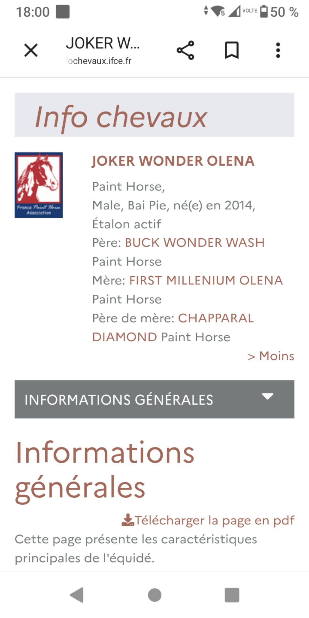 POKER, média 4