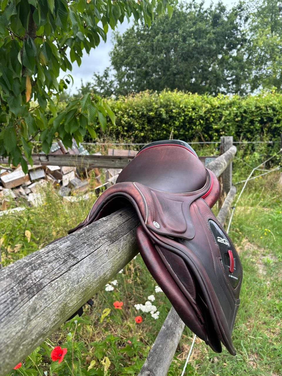 Selle cwd 2GS kid 15,5 pouces de 2023, média 3