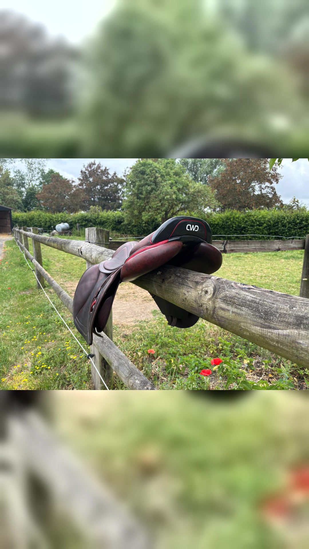 Selle cwd 2GS kid 15,5 pouces de 2023, média 2
