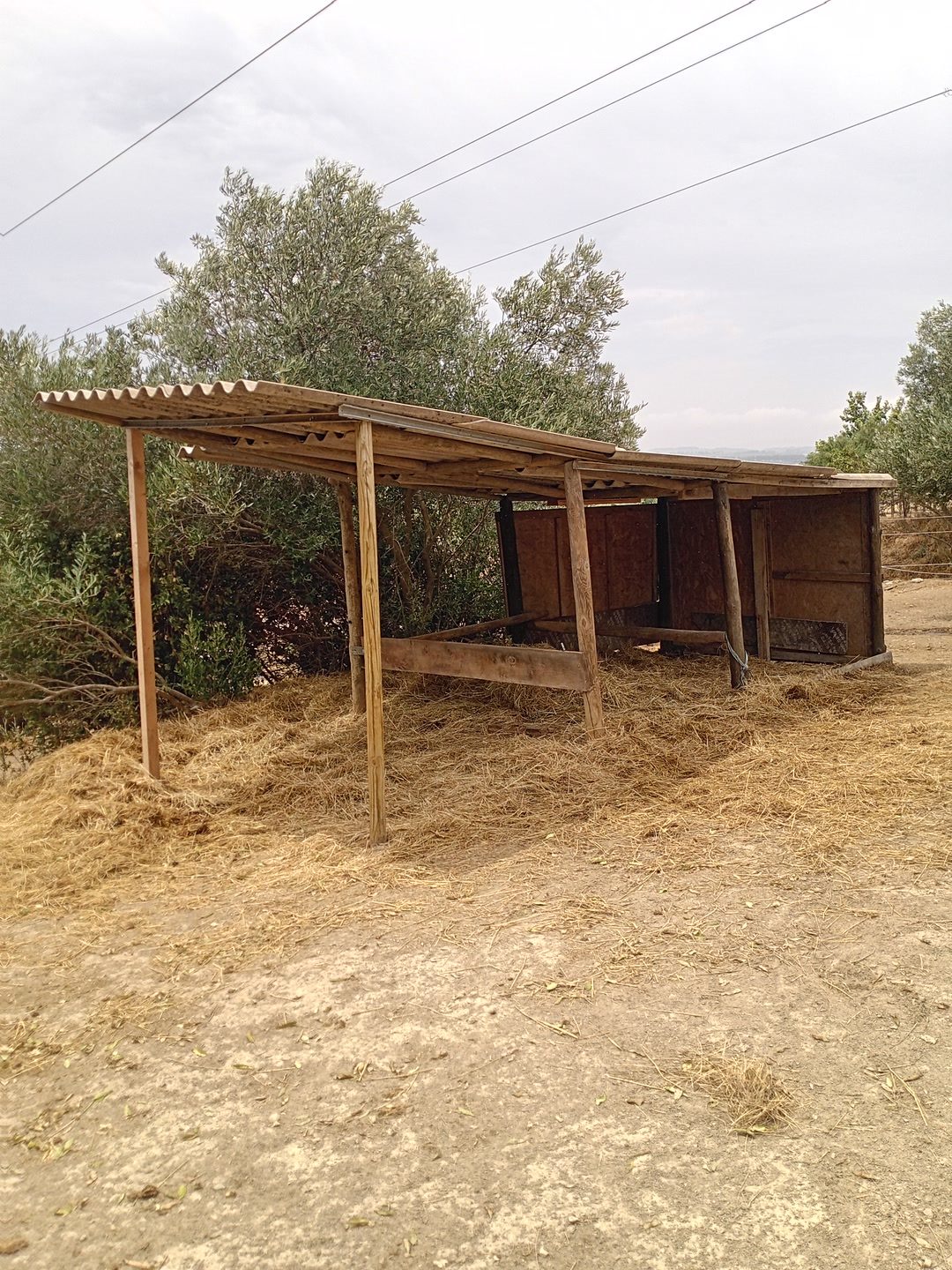 Pension 3f, média 4