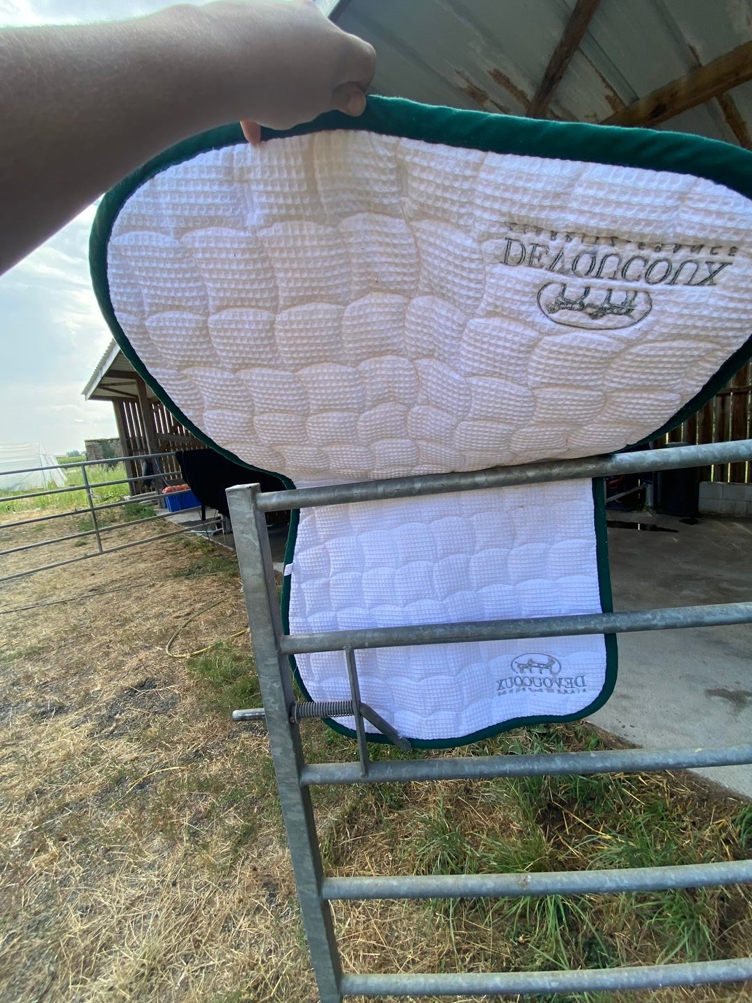 Tapis blanc devoucoux cheval, média 3