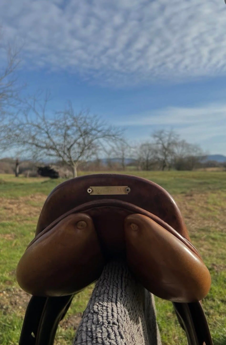 Selle Childeric, média 2