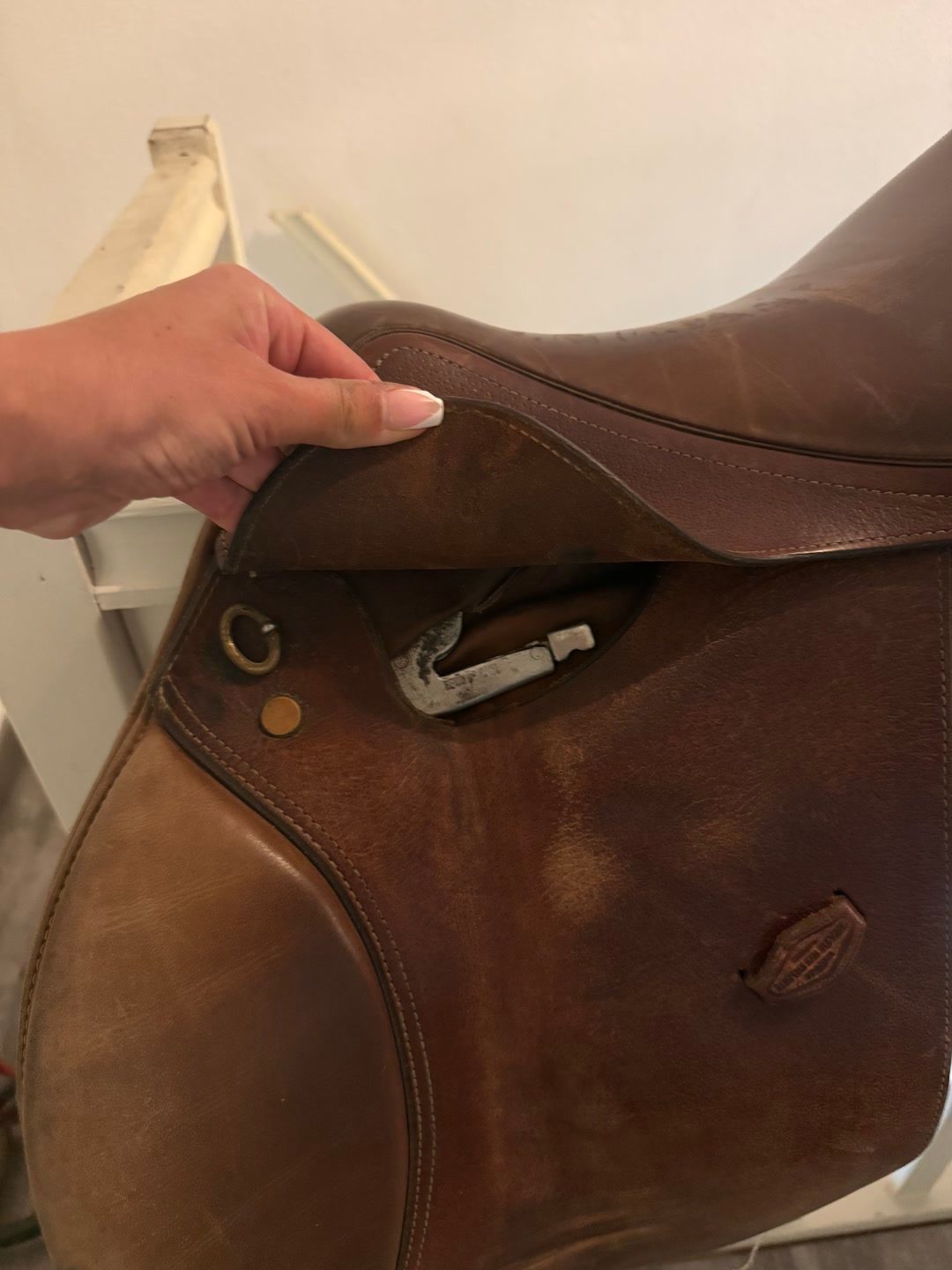 Selle mixte, média 6