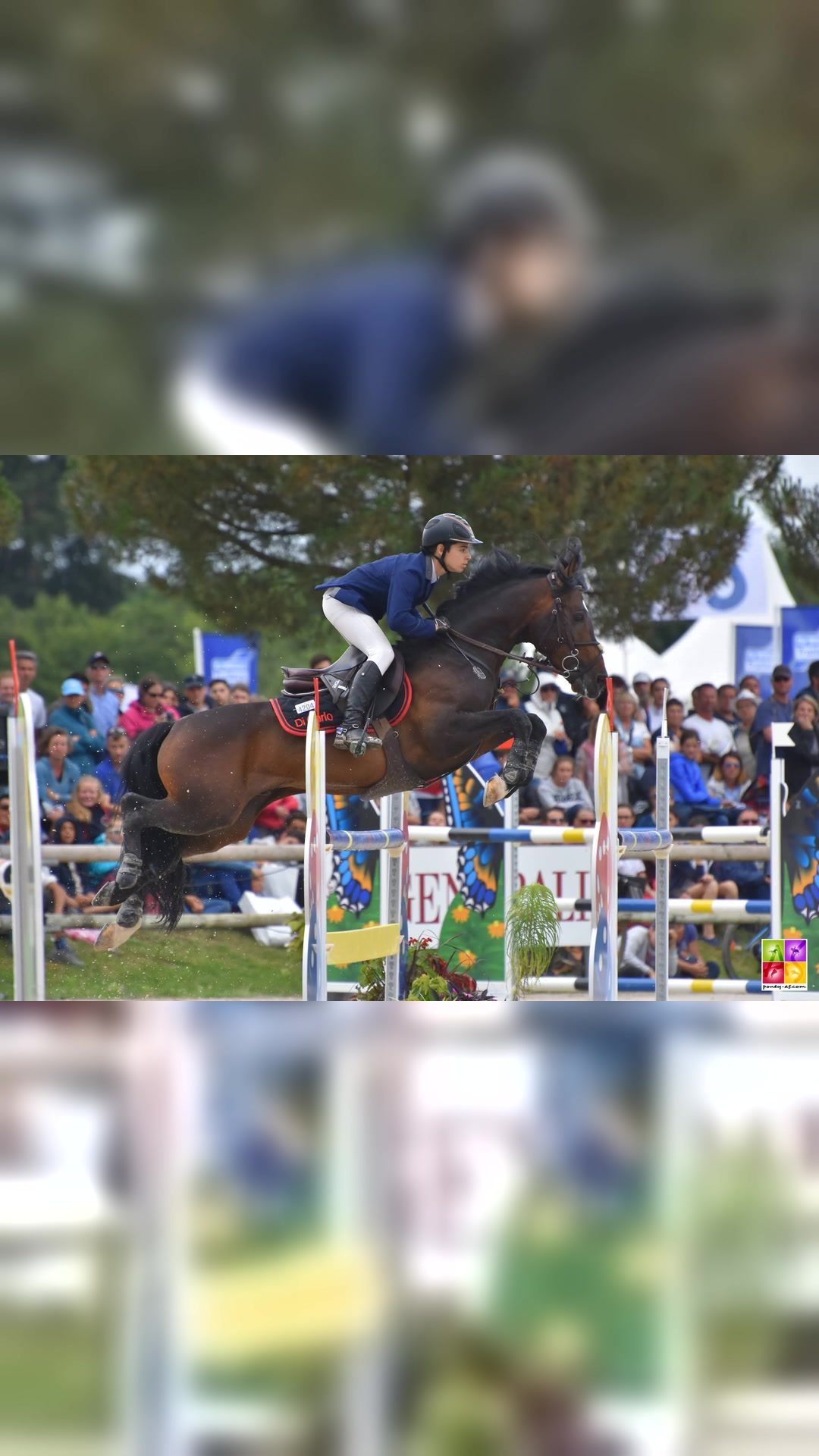 O'FEVER DE L'ARBALOU - IPO 163, média 7