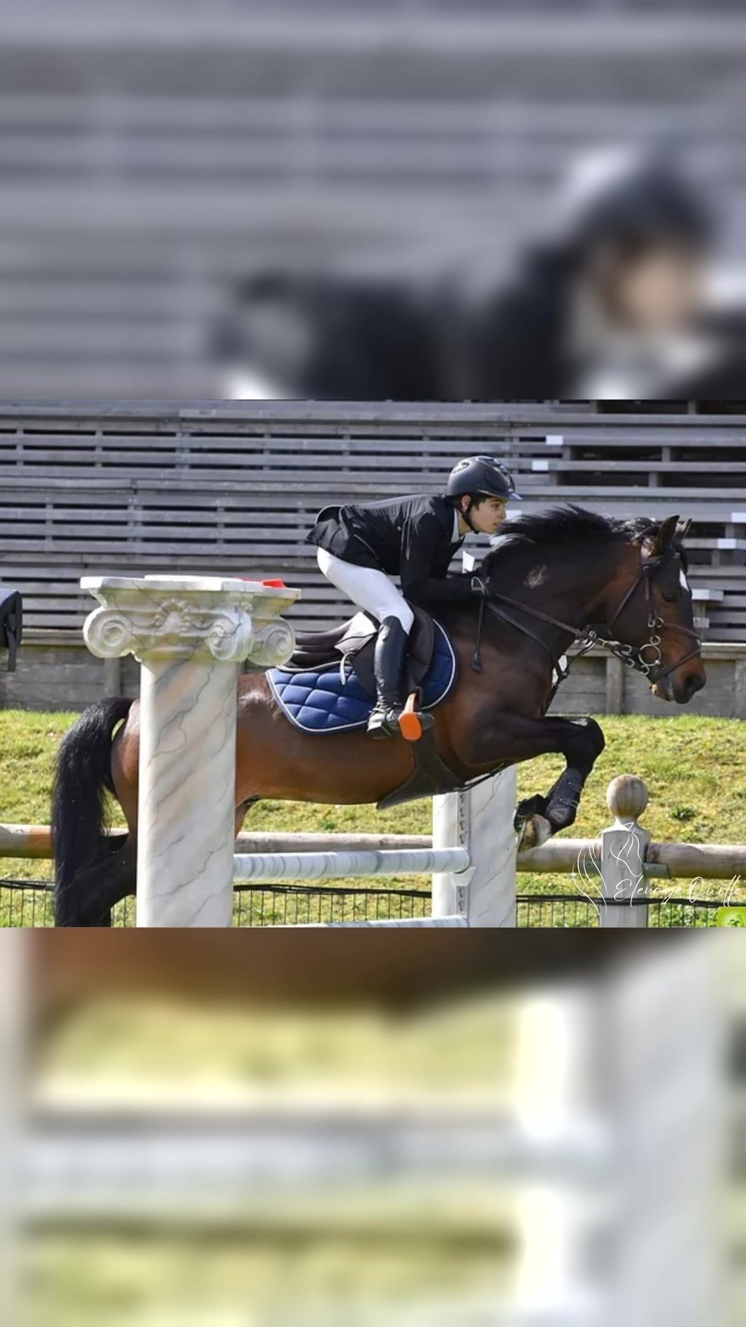 O'FEVER DE L'ARBALOU - IPO 163, média 6