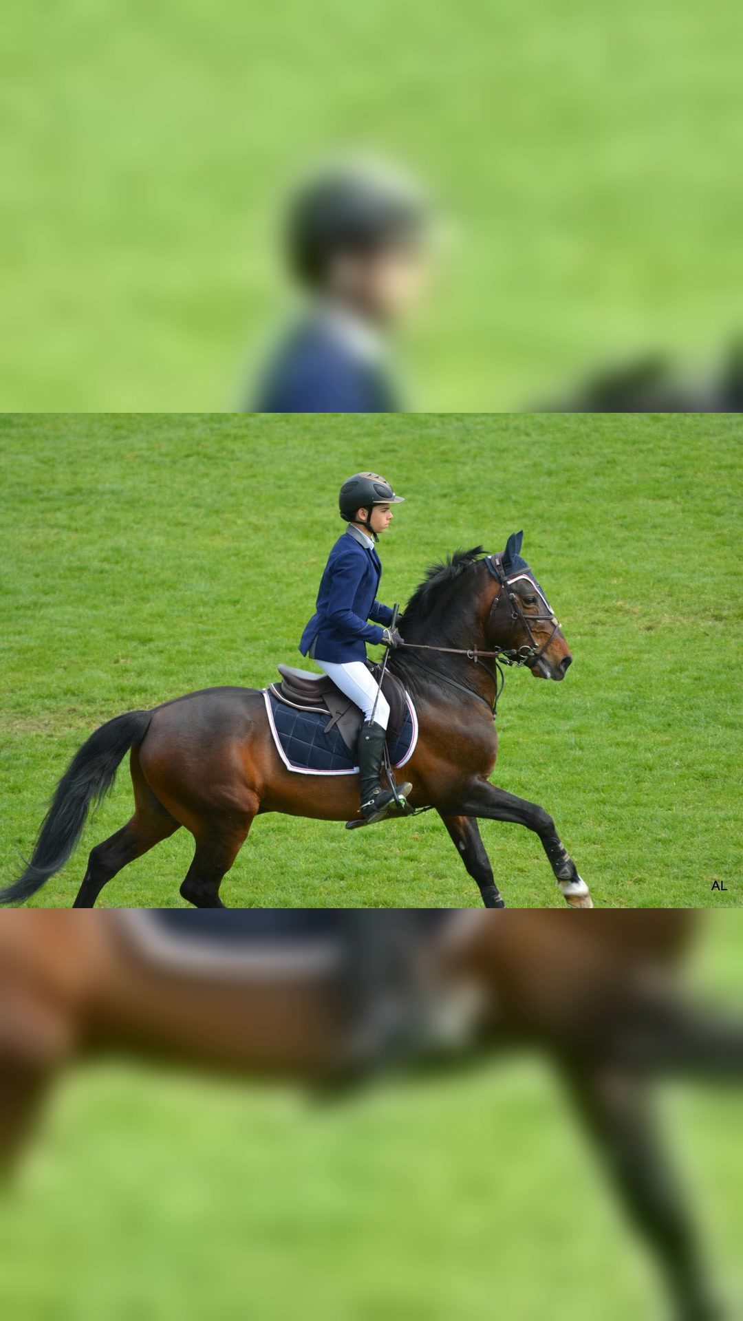O'FEVER DE L'ARBALOU - IPO 163, média 3