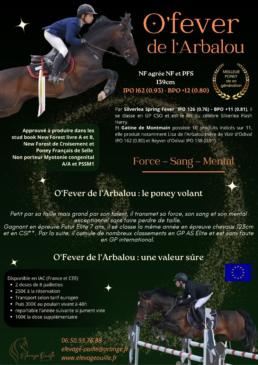 O'FEVER DE L'ARBALOU - IPO 163, média 2