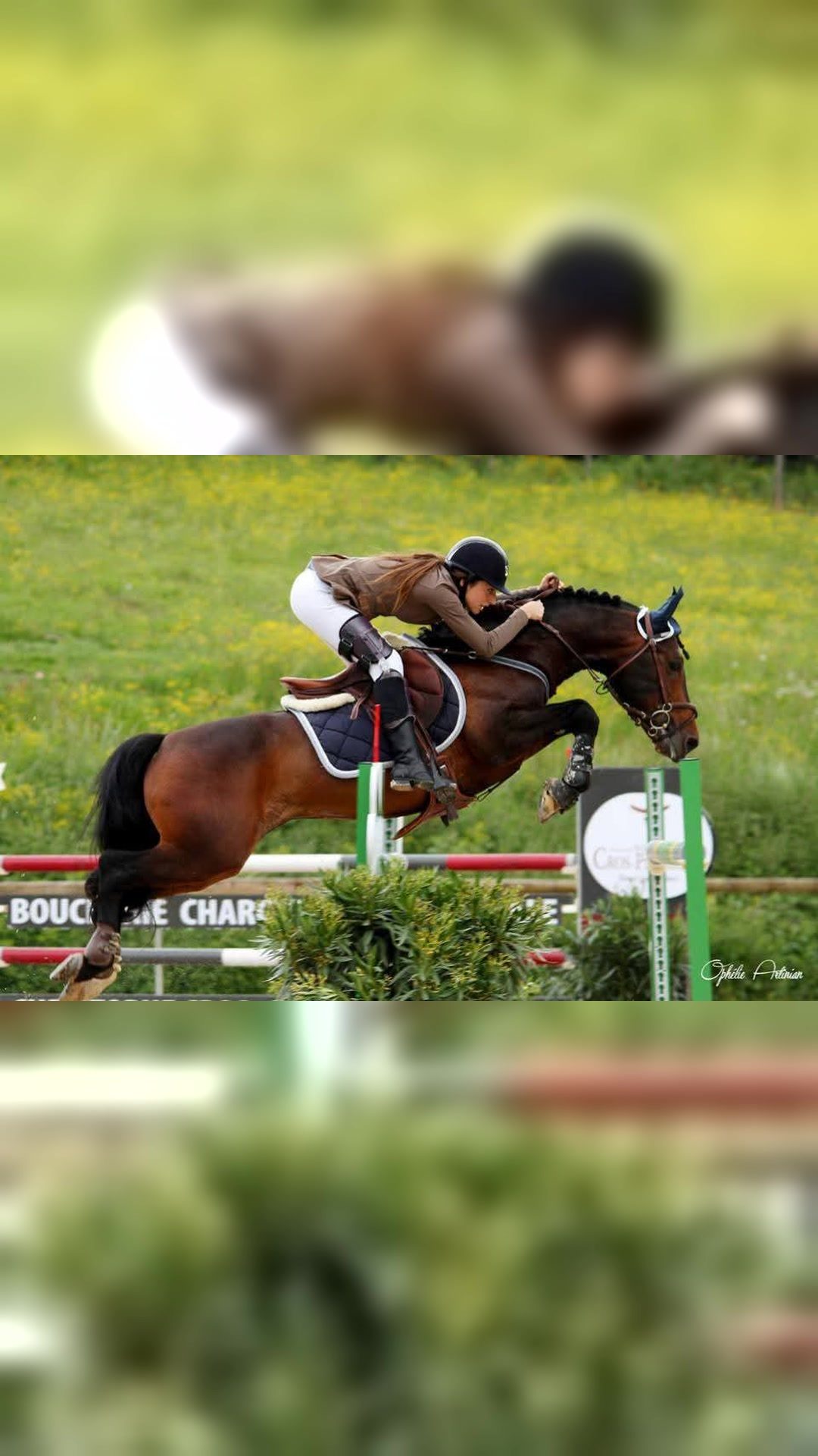O'FEVER DE L'ARBALOU - IPO 163, média 4