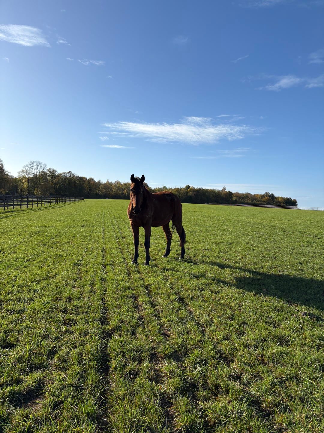 COUNTRY DES OBEAUX 1'12"8 (ASC8H), média 3
