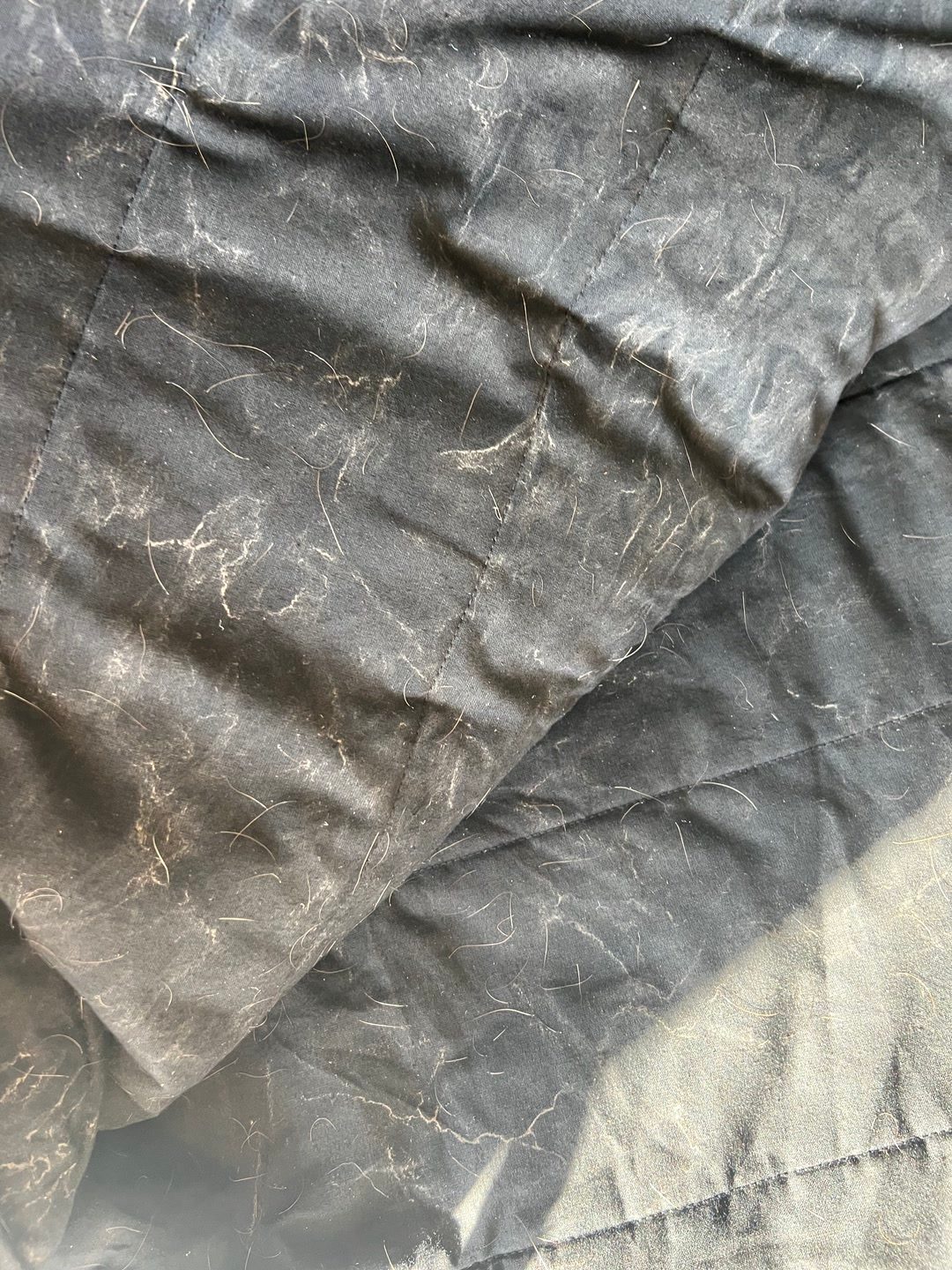Couverture Fouganza All Weather 200g 135cm, média 2
