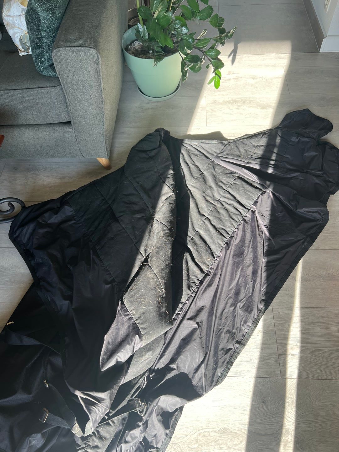 Couverture Fouganza All Weather 200g 135cm, média 3