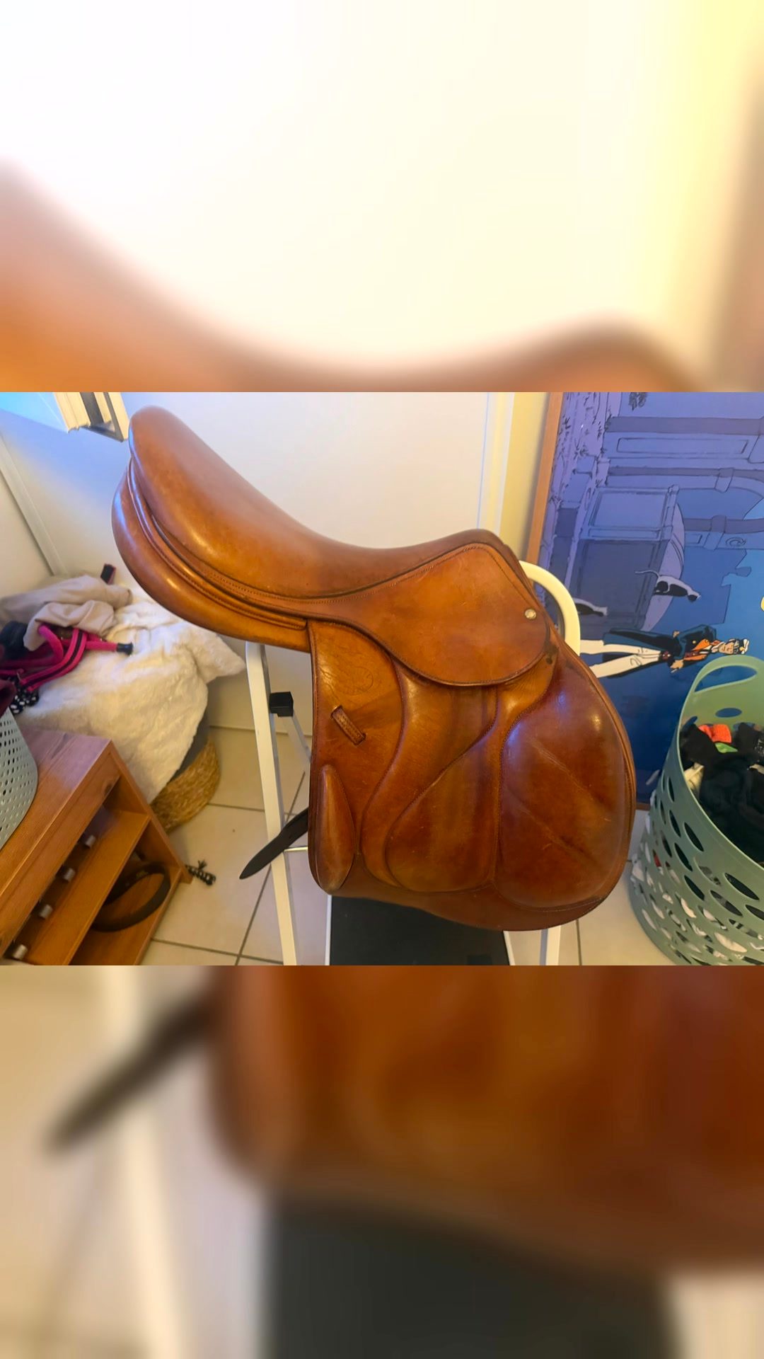 Selle devoucoux, média 6