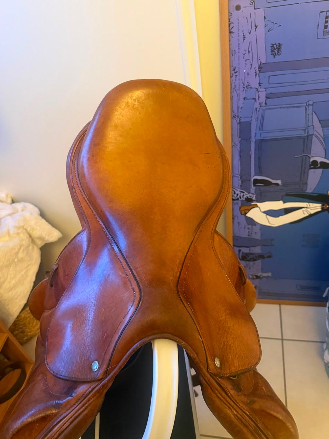 Selle devoucoux, média 5