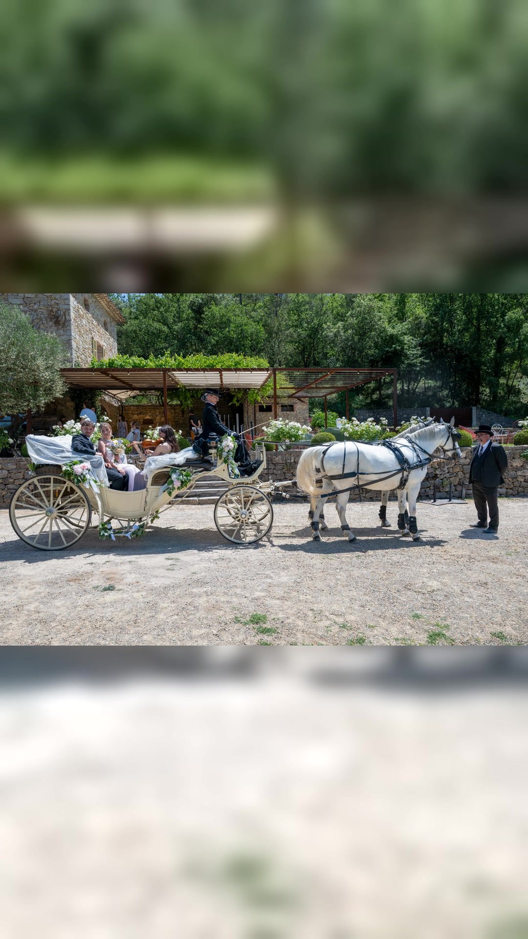 Location de calèche, média 5