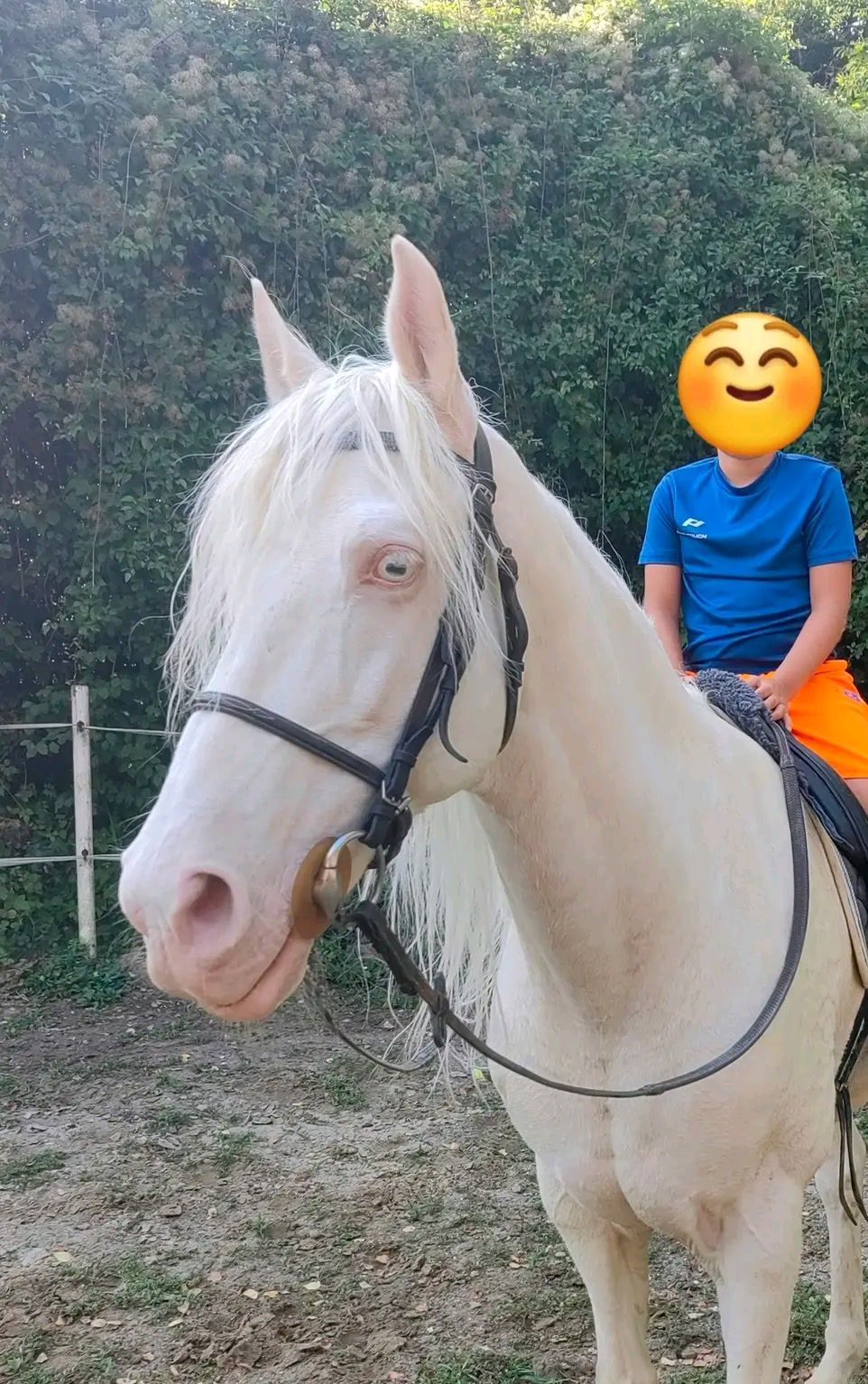 RURU, média 7